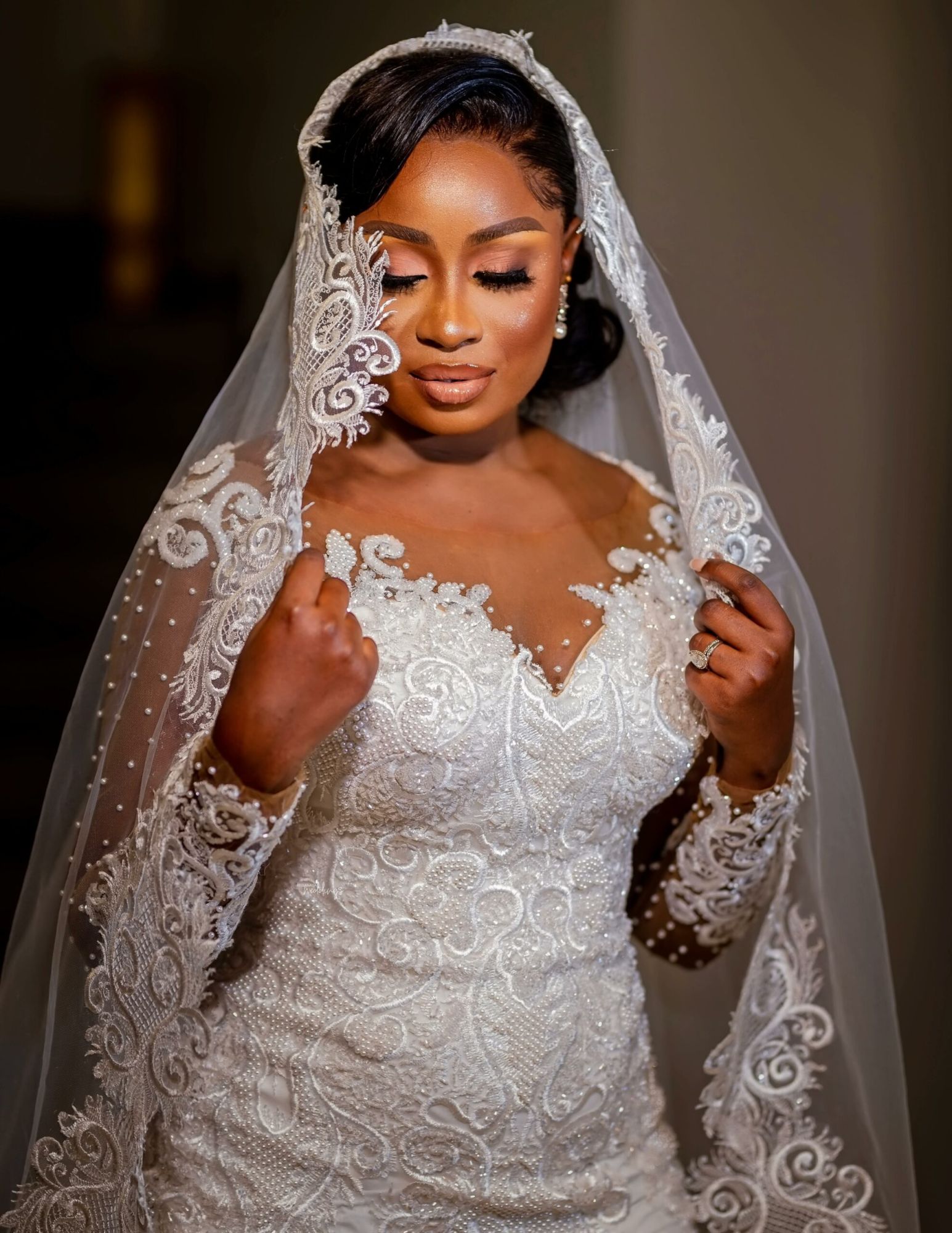 Gorgeous Mermaid Bridal Gown with Long Sleeves Pearls Lace Appliques Wedding Dress