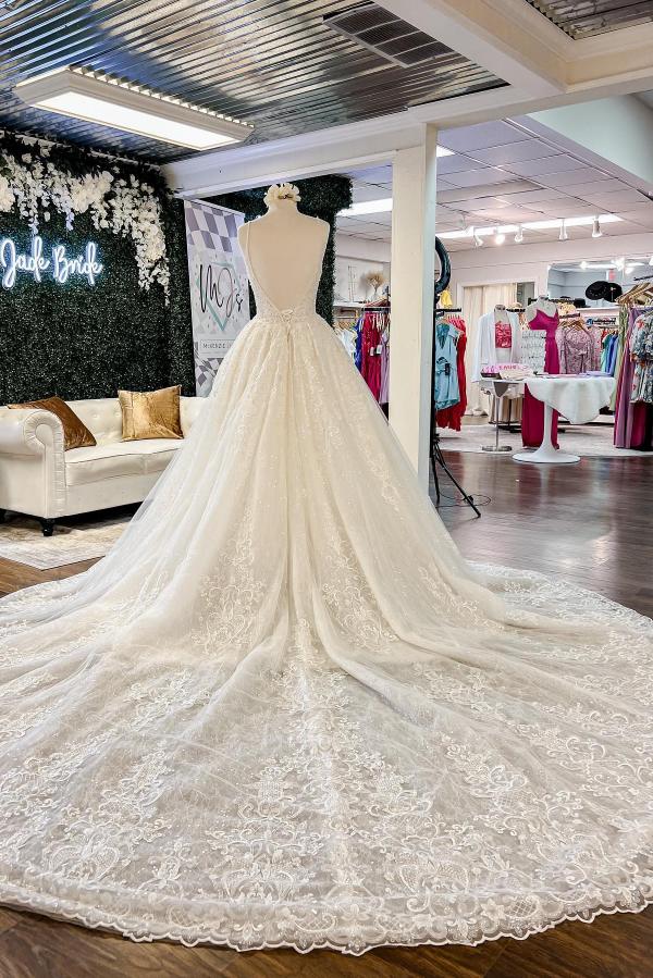 Chic Floral Lace Aline Wedding Dress V-Neck Sleeveless Backless Bridal Dress