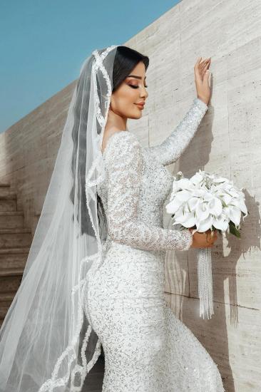 Modern Wedding Dresses Mermaid Style Glitter Wedding Dress with Sleeves_10