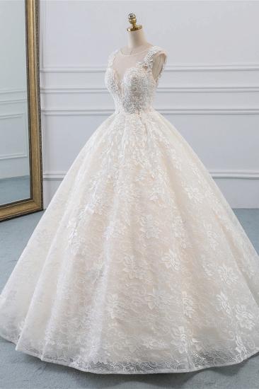Bradyonlinewholesale Exquisite Jewel Sleelveless Lace Wedding Dress Ball Gown appliques Bridal Gowns Online_3
