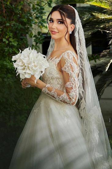 Festive Wedding Dresses A line with Sleeves Lace Bridal Fashion Online_2