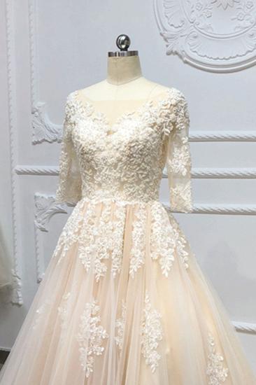 Bradyonlinewholesale Gorgeous Champagne Tulle Half Sleeve Long Wedding Dress White Lace Applique Bridal Gowns On Sale_4