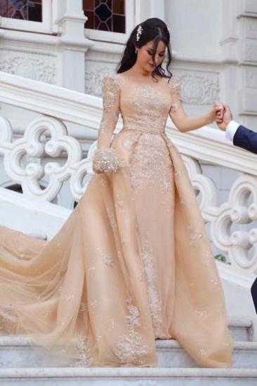 Long Sleeve Appliques Sheath Wedding Dresses | Detachable Lace Train Bridal Gowns_2