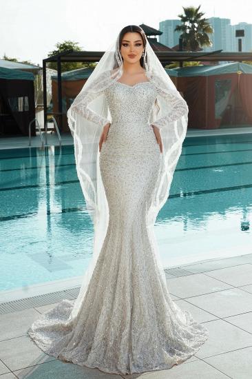 Modern Wedding Dresses Mermaid Style Glitter Wedding Dress with Sleeves_1