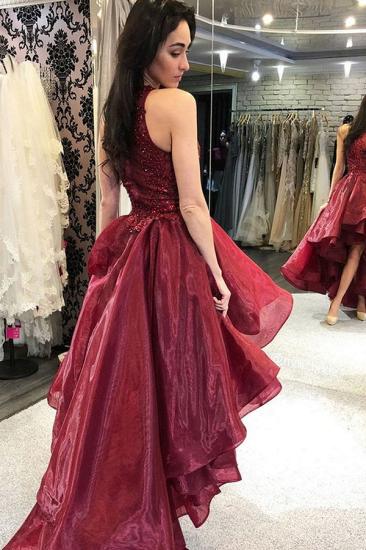 Burgundy Tulle lace hi-Lo Dancing Party Dress Homecoming Dress_3