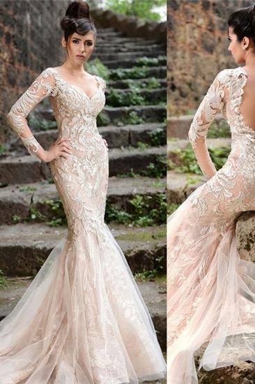 Mermaid Long Sleeve Ivory Lace Wedding Dresses | Sexy Sheer Tulle See Through Back Evening Dresses_2