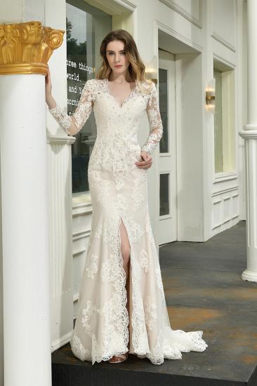 Delicate V-Neck High Split Long Sleeves Lace Wedding Dress With Court Train_1