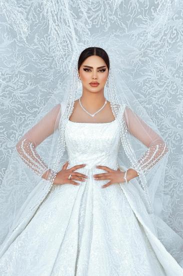 Extravagant Wedding Dresses Princess Lace Wedding Dresses with Glitter_7