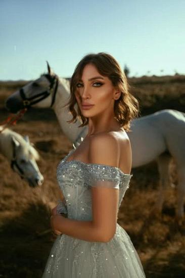 Silver Ball Gowns Long Glitter Evening Dresses Prom Dresses Online_3