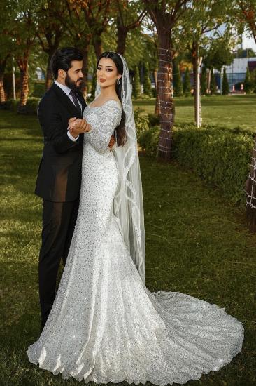 Modern Wedding Dresses Mermaid Style Glitter Wedding Dress with Sleeves_8