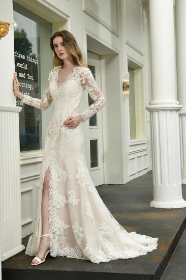 Delicate V-Neck High Split Long Sleeves Lace Wedding Dress With Court Train_6