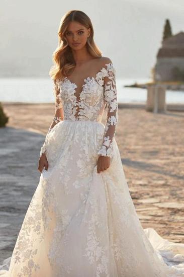 Elegant Floral Lace Aline Wedding Dress with Long Sleeves Backless Bridal Dress_1