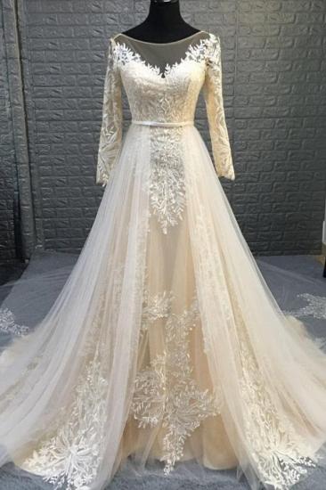 Elegant Long Sleeve Lace Appliques Tulle Wedding Dress Bridal Gowns Detachable Train_1