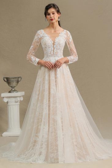 Elegant Lace Deep V-neck Wedding Dress Long Sleeve Floor Length Bridal Gowns_1