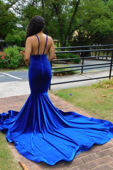 Glamorous Blue V-Neck Spaghetti Strap Prom Dress | Floral and Ground Mermaid Prom Dress_4
