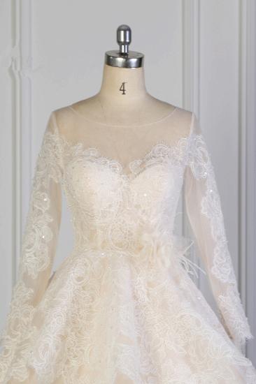 Bradyonlinewholesale Exquisite Lace Appliques Wedding Dress Tulle Long Sleeves Sequined Bridal Gown On Sale_4