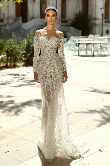 Elegant Wedding Dresses Lace with Sleeves Wedding Dresses Cheap Online_2