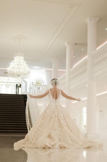 V neck Glitter Floral Lace Sleeveless Floor-Length Wedding dress_2