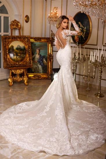 Elegant Mermaid Lace Wedding Dress | Wedding Dress with Sleeves_3
