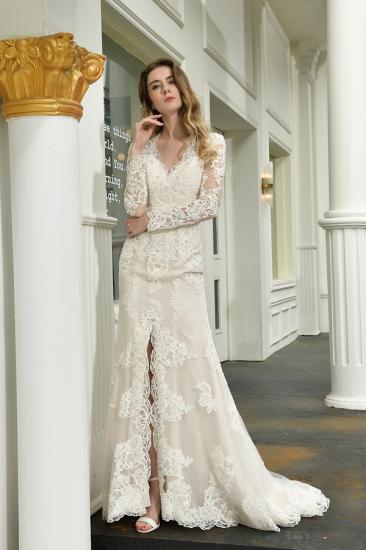 Delicate V-Neck High Split Long Sleeves Lace Wedding Dress With Court Train_9