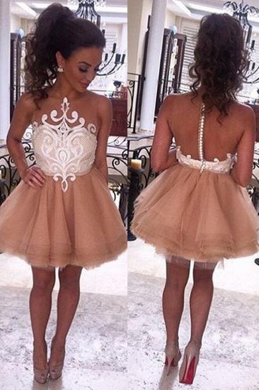 Sheer Tulle Appliques Champagne Homecoming Dresses Cheap Short Evening Dress_1