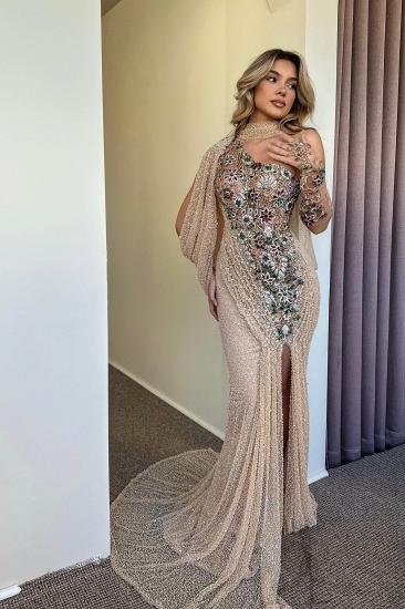 Elegant Evening Dresses Long Lace Prom Dresses Ball Gowns with Glitter_1