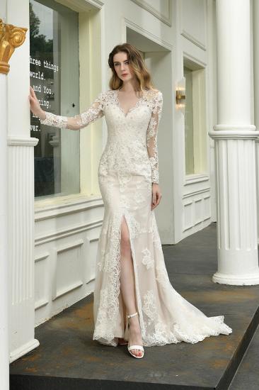 Delicate V-Neck High Split Long Sleeves Lace Wedding Dress With Court Train_3