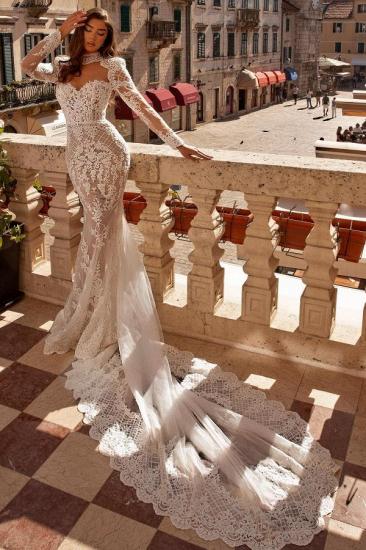 Elegant wedding dress with sleeves | Wedding dresses mermaid lace_1