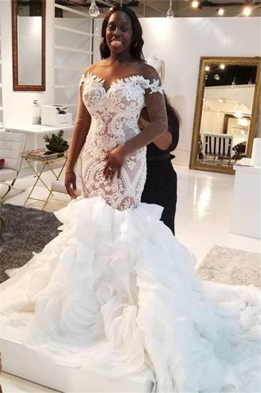Mermaid Lace Appliques Tulle Wedding Dresses| Long Sleeves Delicate Bridal Gowns_1