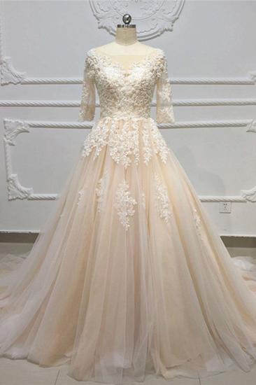 Bradyonlinewholesale Gorgeous Champagne Tulle Half Sleeve Long Wedding Dress White Lace Applique Bridal Gowns On Sale_3