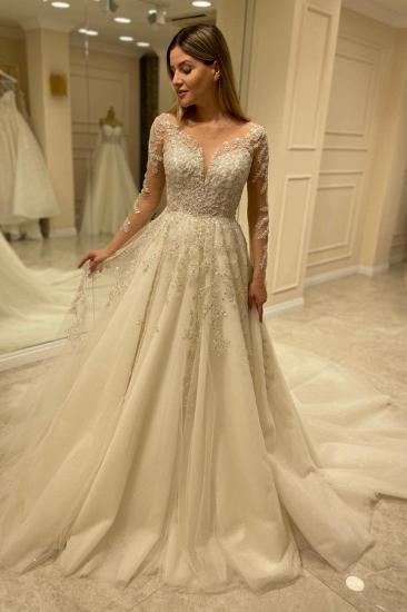 Designer Lace V-Neck Long Sleeve Wedding Dress | Wedding Dresses A Line Long Sleeves_3