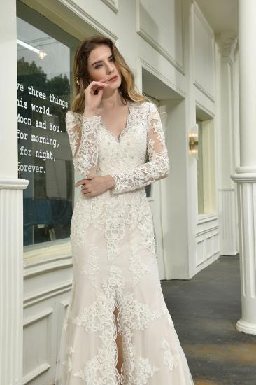 Delicate V-Neck High Split Long Sleeves Lace Wedding Dress With Court Train_10