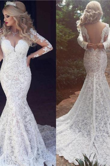 Long Sleeve Mermaid Lace Wedding Dress Sexy Open Back V-neck Classic Bridal Gown_3